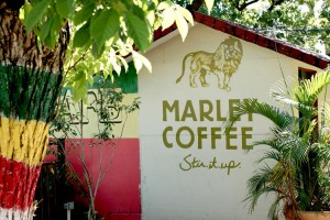 3034263-slide-s-14-bob-marleys-son-has-a-coffee-company-and-its-growing-fast